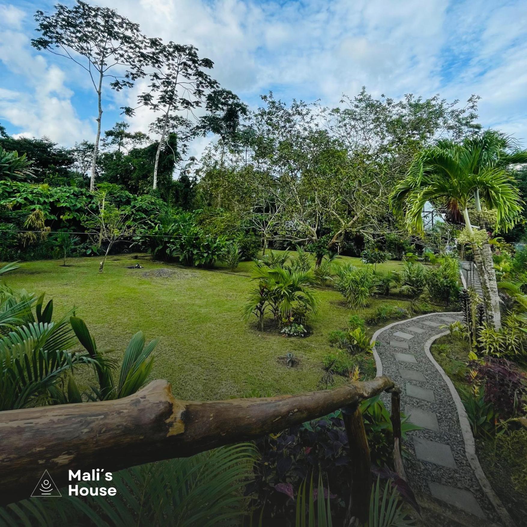 Mali'S House 호텔 La Fortuna 외부 사진